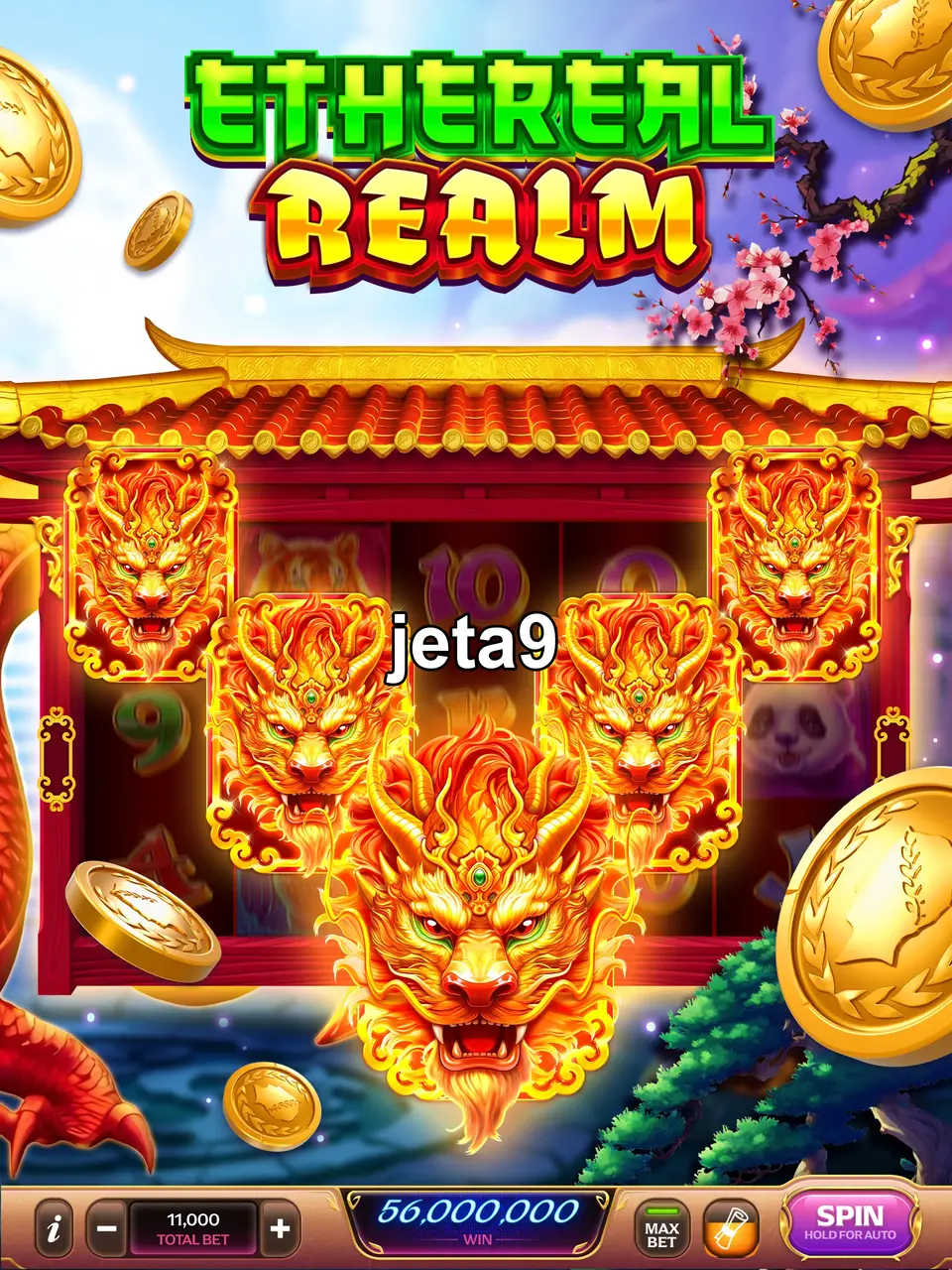 jeta9 স্ক্রিনশট অফিসিয়াল APK